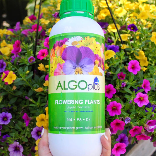 Fertilizer for Flowering Plants
