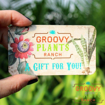 Physical Gift Card | Gift Certificate