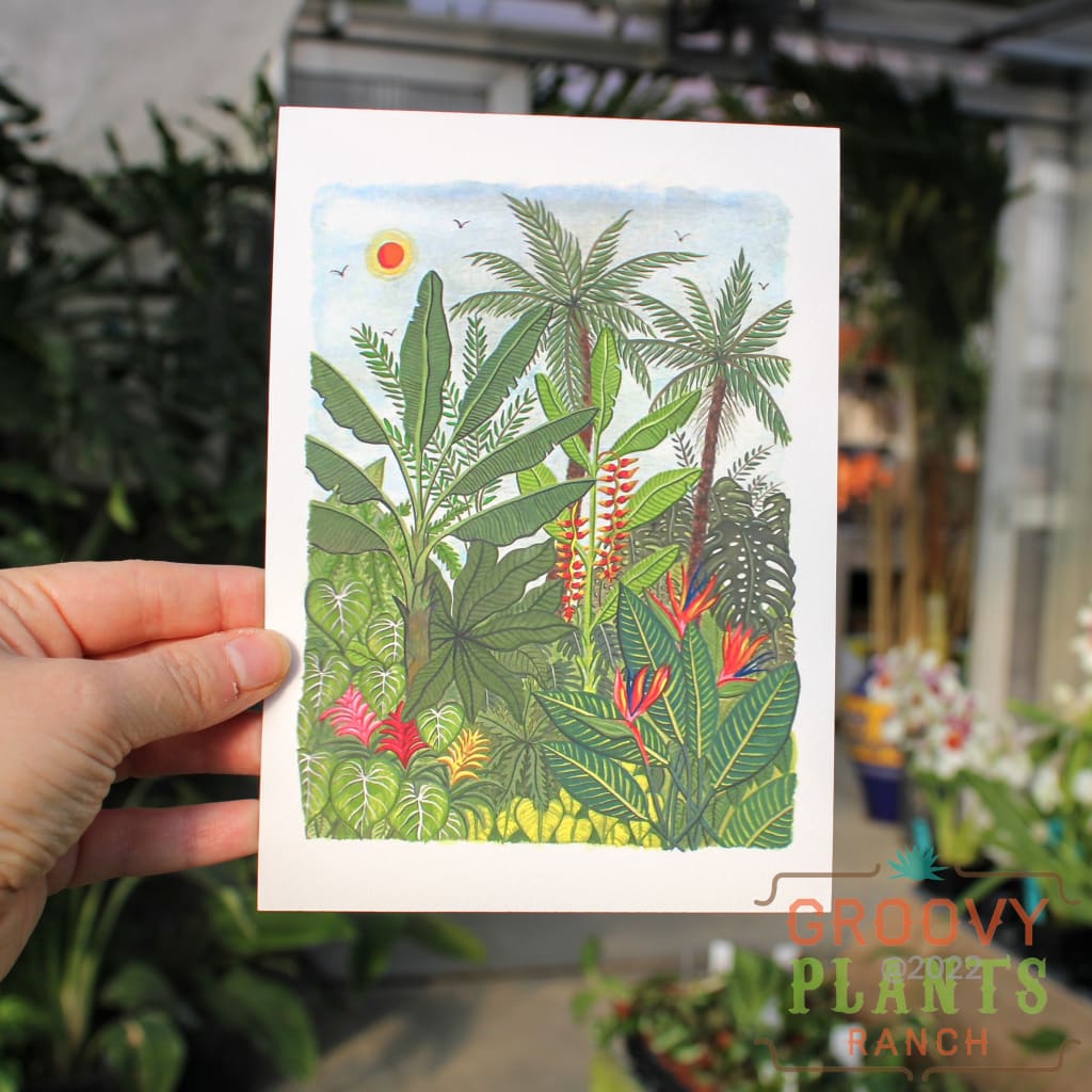 Tropical Plants Art Print